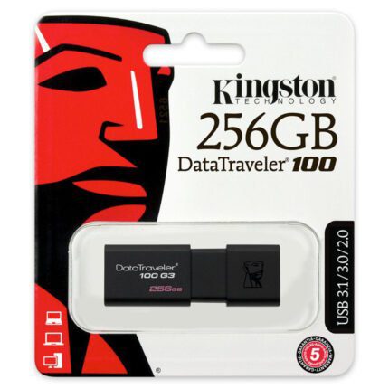 kingston flash 256GB USB 3.0 DataTraveler 100 G3 (130MB/s read)
